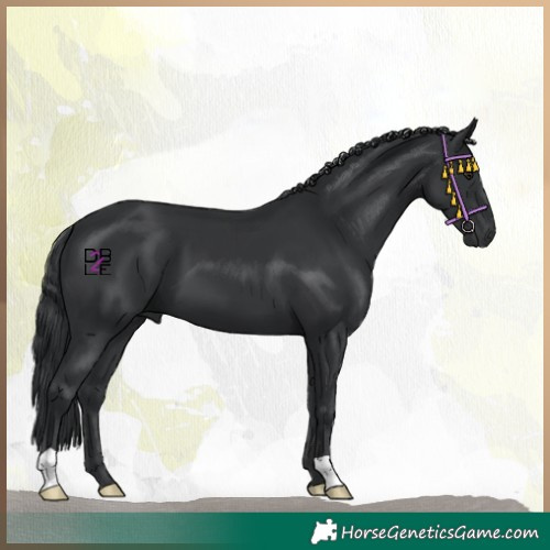 Horse Color:Black Chinchilla 