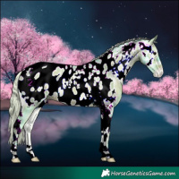 Horse Color:Watercolor Silver Brown Ice Onyx Tobiano Appaloosa