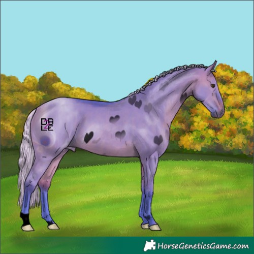 Horse Color:ERROR: UNKNOWN ANOMALY