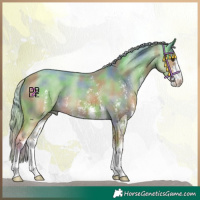 Horse Color:Nacre Palomino Sabino 