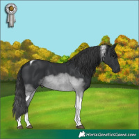 Horse Color:Black Tobiano 