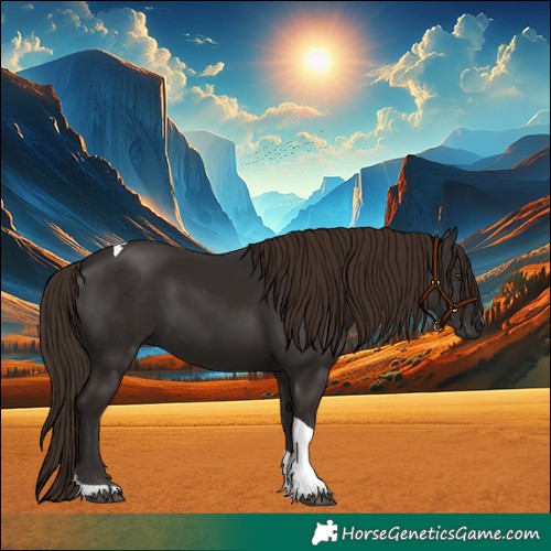 Horse Color:Liver Chestnut Tobiano 