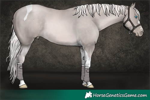Horse Color:Platinum Chocolate Palomino Pearl Tobiano 