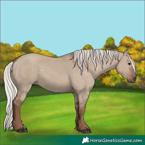 Horse Color:Silver Grullo 