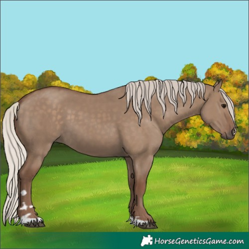 Horse Color:Silver Grullo 