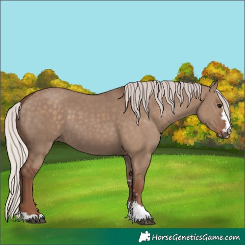 Horse Color:Silver Grullo 