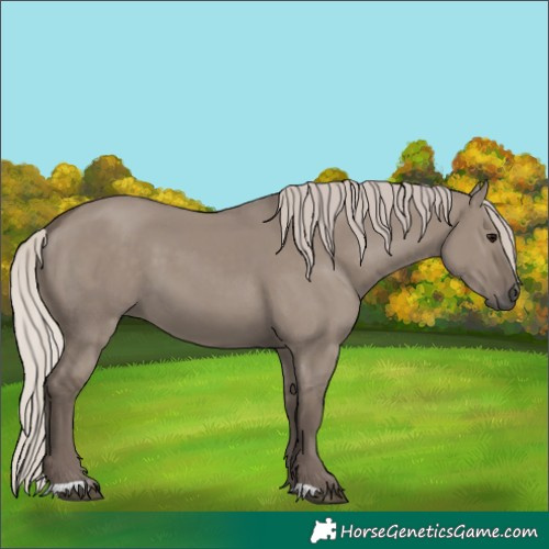 Horse Color:Silver Grullo 