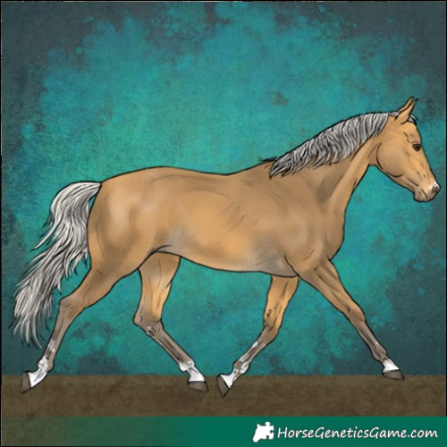 Horse Color:Silver Buckskin 