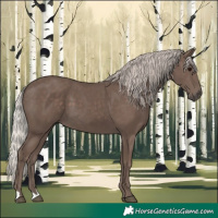 Horse Color:Silver Black 