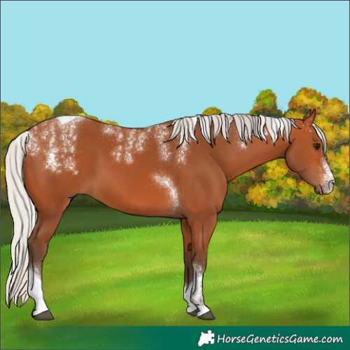 Horse Color:Powder White Silver Bay Tobiano 