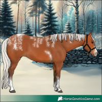 Horse Color:Powder White Silver Bay Tobiano 