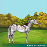 Horse Color:Platinum White Spotted Chocolate Brown Dun