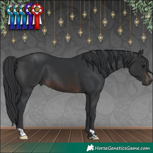 Horse Color:Brown 