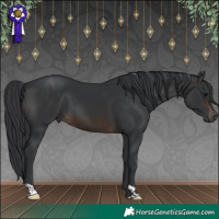 Horse Color:Brown 