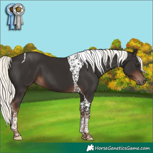 Horse Color:Liver Chestnut Mushroom Tobiano 