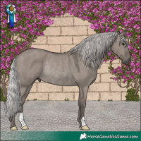 Horse Color:Platinum Silver Grullo Rabicano