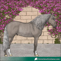 Horse Color:Platinum Silver Grullo Rabicano 