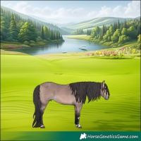 Horse Color:Platinum Bay 