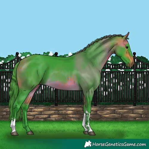 Horse Color:Watercolor Buckskin Tobiano 