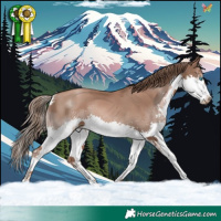 Horse Color:Black Pearl Splash