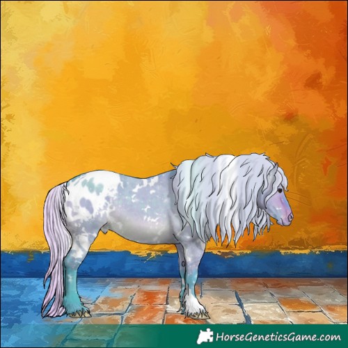 Horse Color:Watercolor White Spotted Silver Brown Dun Appaloosa 
