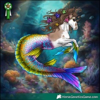 Horse Color:Black Pearl Splash