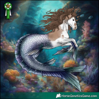 Horse Color:Black Pearl Splash