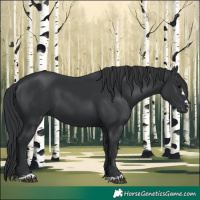Horse Color:Black 