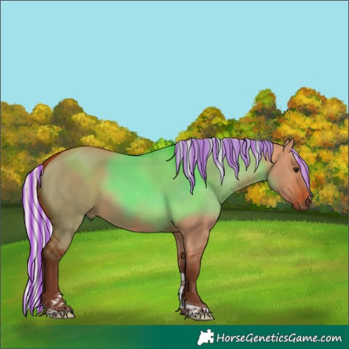 Horse Color:Painted Silver Bay Dun Tobiano 