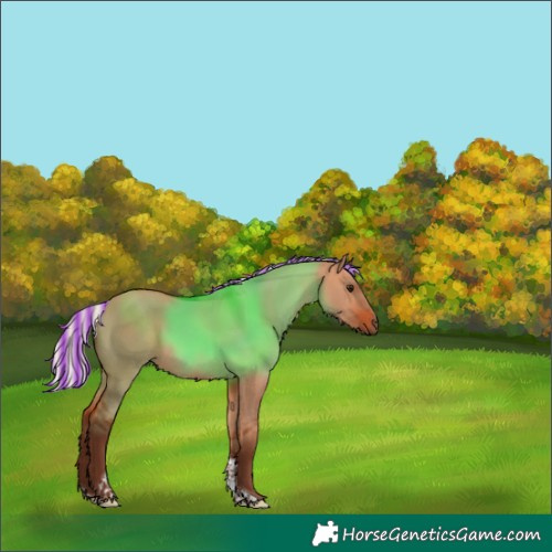 Horse Color:Painted Silver Bay Dun Tobiano