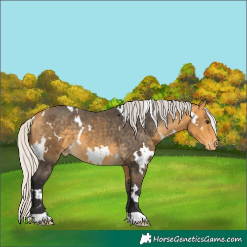 Horse Color:White Spotted Silver Buckskin Skewed LP Spotted 