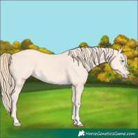 Horse Color:Perlino
