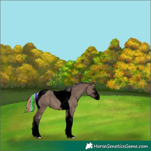 Horse Color:Void Painted Silver Brown Dun Sabino Tobiano 