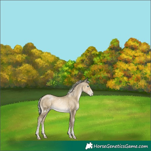 Horse Color:White Spotted Silver Smoky Black Pearl Mushroom 