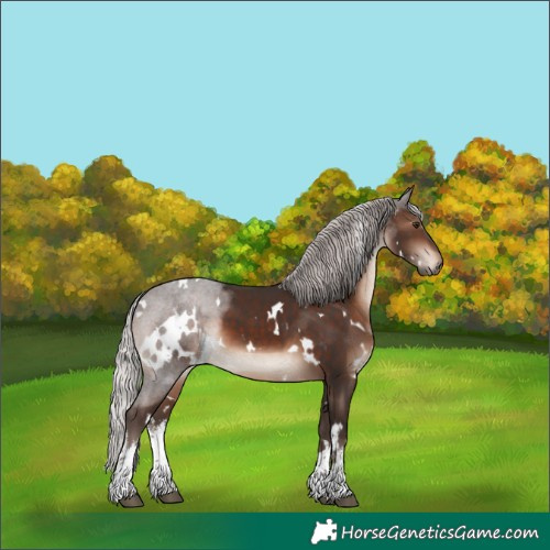 Horse Color:White Spotted Silver Brown Mushroom 