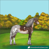 Horse Color:White Spotted Silver Brown Mushroom