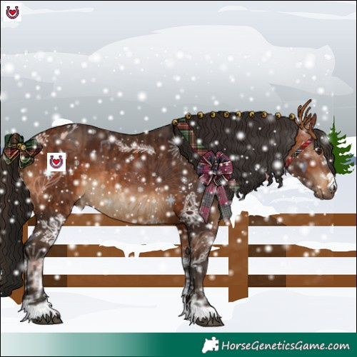 Horse Color:Bay Tobiano  and Gray Bay 