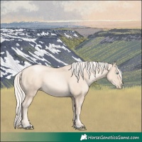 Horse Color:Gold Cream Champagne Pearl 