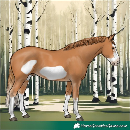 Horse Color:Chestnut Splash Frame 