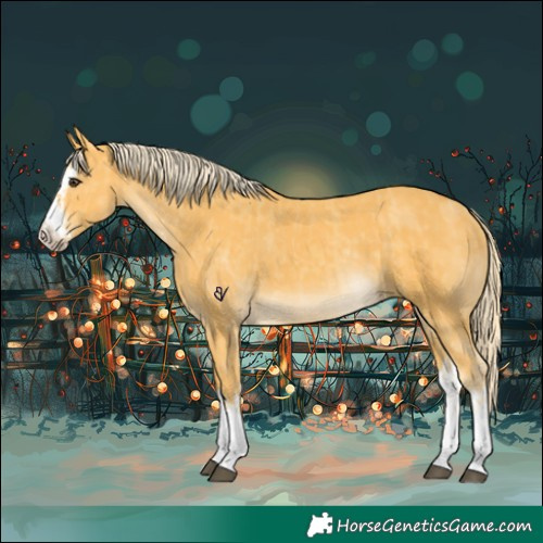 Horse Color:Palomino  and Palomino Splash 