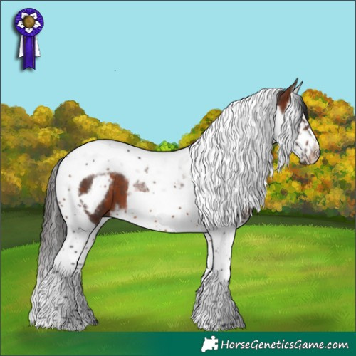 Horse Color:Brown Splash Tobiano Frame
