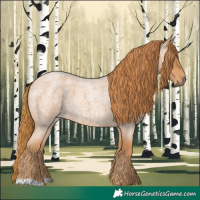 Horse Color:Red Roan 