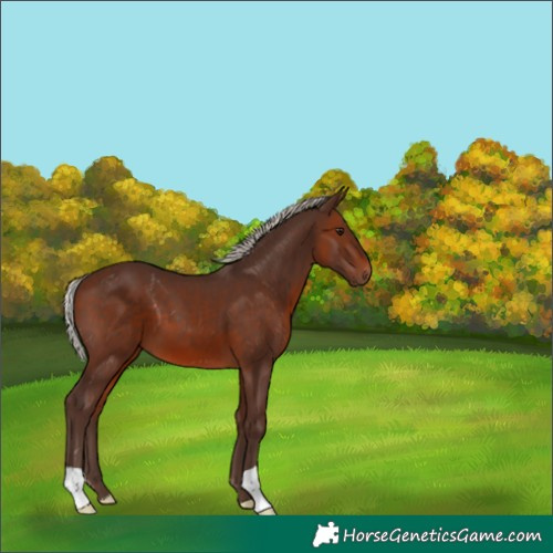 Horse Color:Silver Brown