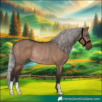 Horse Color:Silver Brown Dun Rabicano