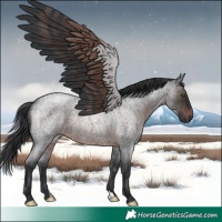 Horse Color:Brown Roan Rabicano 