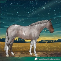 Horse Color:Silver Brown Roan Tobiano Rabicano