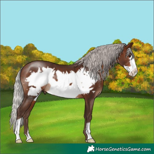 Horse Color:Silver Brown Frame 
