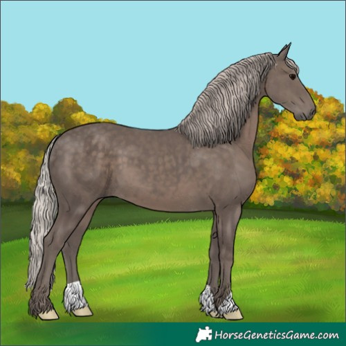 Horse Color:Silver Black