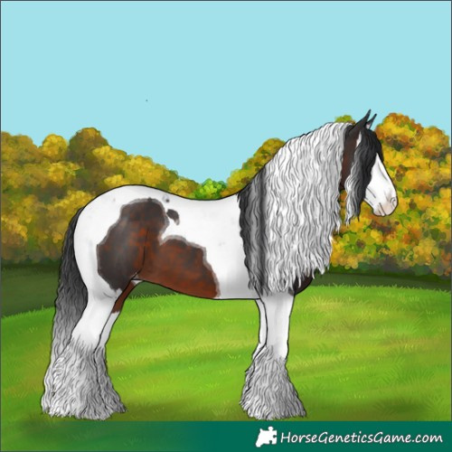 Horse Color:Brown Splash Tobiano Varnish