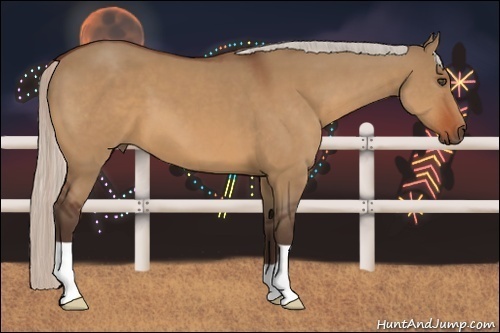 Horse Color:Silver Bay Dun 